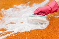 Brilliant Cleaning Services Brilliant Cleaning Services