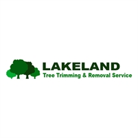 Tree Service Lakeland George Paulson