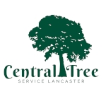 Central Tree Service Lancaster Central Tree Service Lancaster