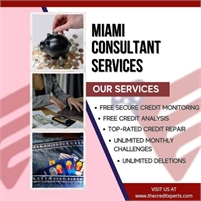 Miami Consultant Services Miami Consultant Services